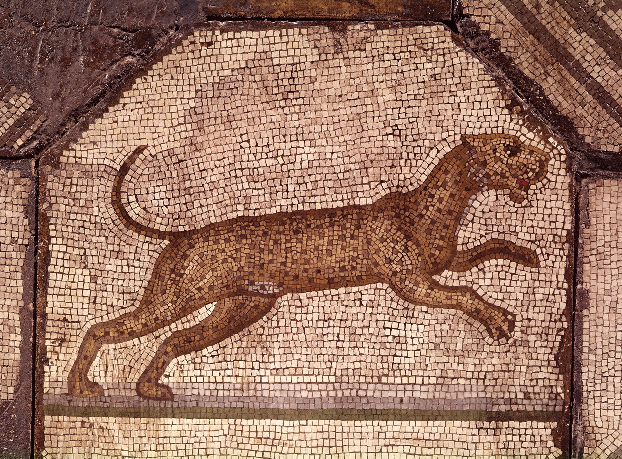 En leopard, detalje fra Orfeus charmerer dyrene (mosaik) af Roman