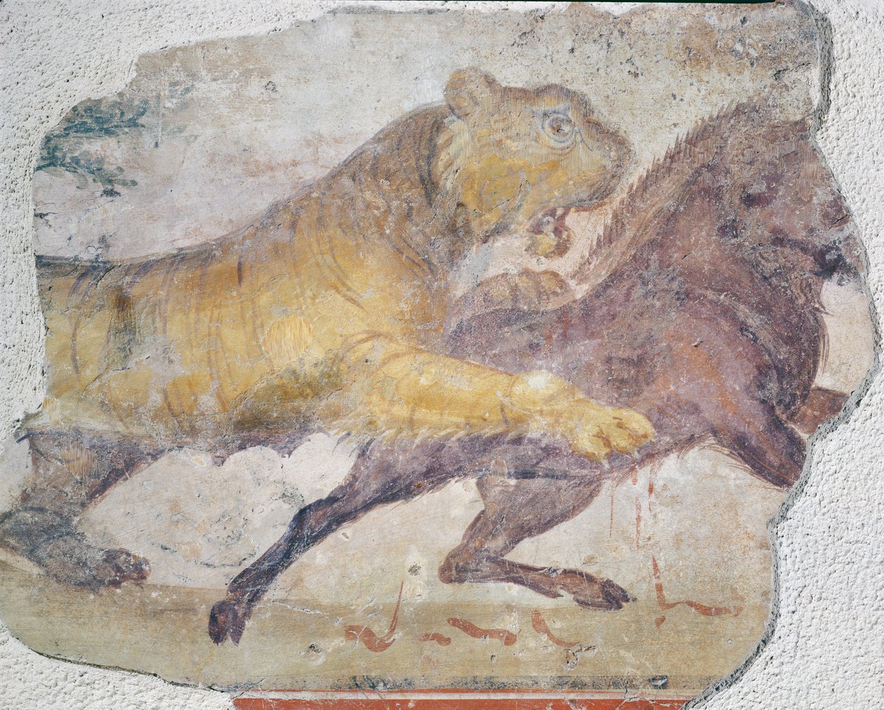 En tiger angriber et vildsvin, fra Amfiteatret i Merida af Roman