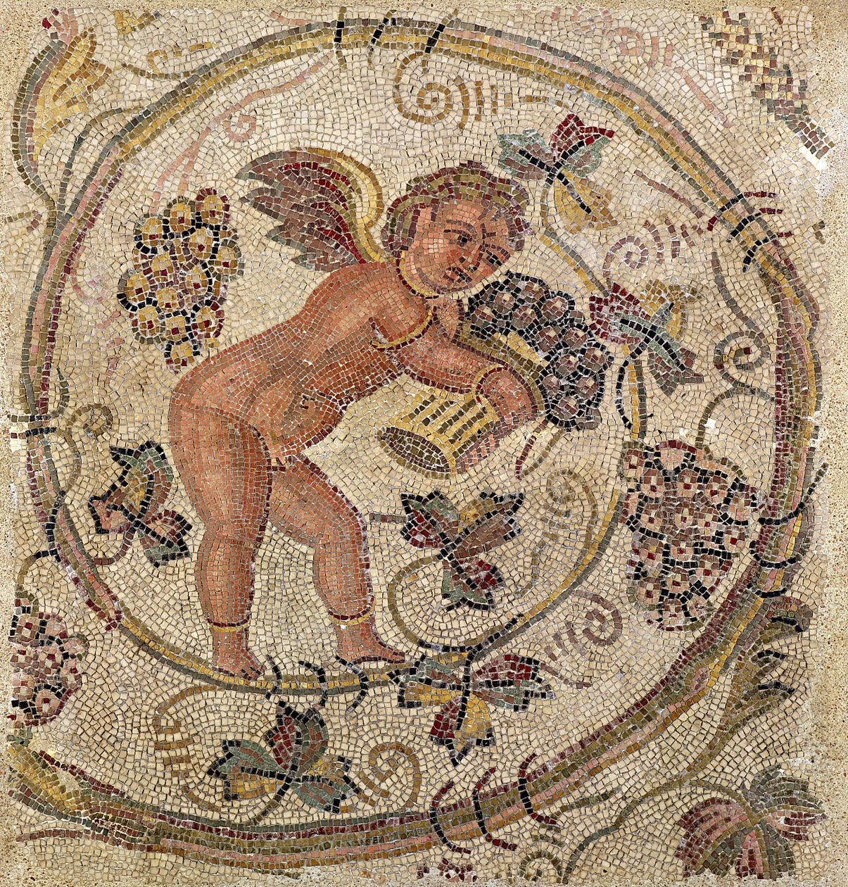 En amor, der plukker druer, fragment af fortovet fra Karthago, Tunesien (mosaik) af Roman