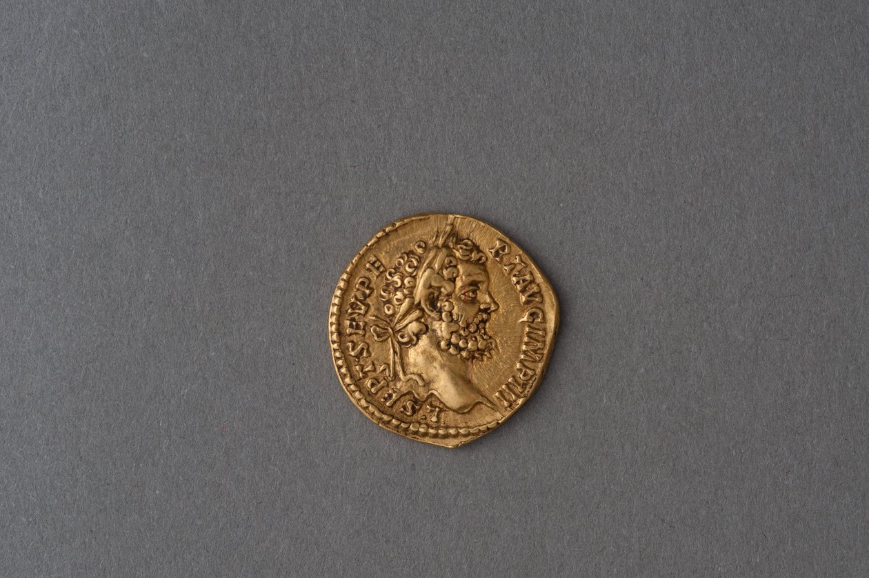 Aureus af Septimius Severus (guld) af Roman