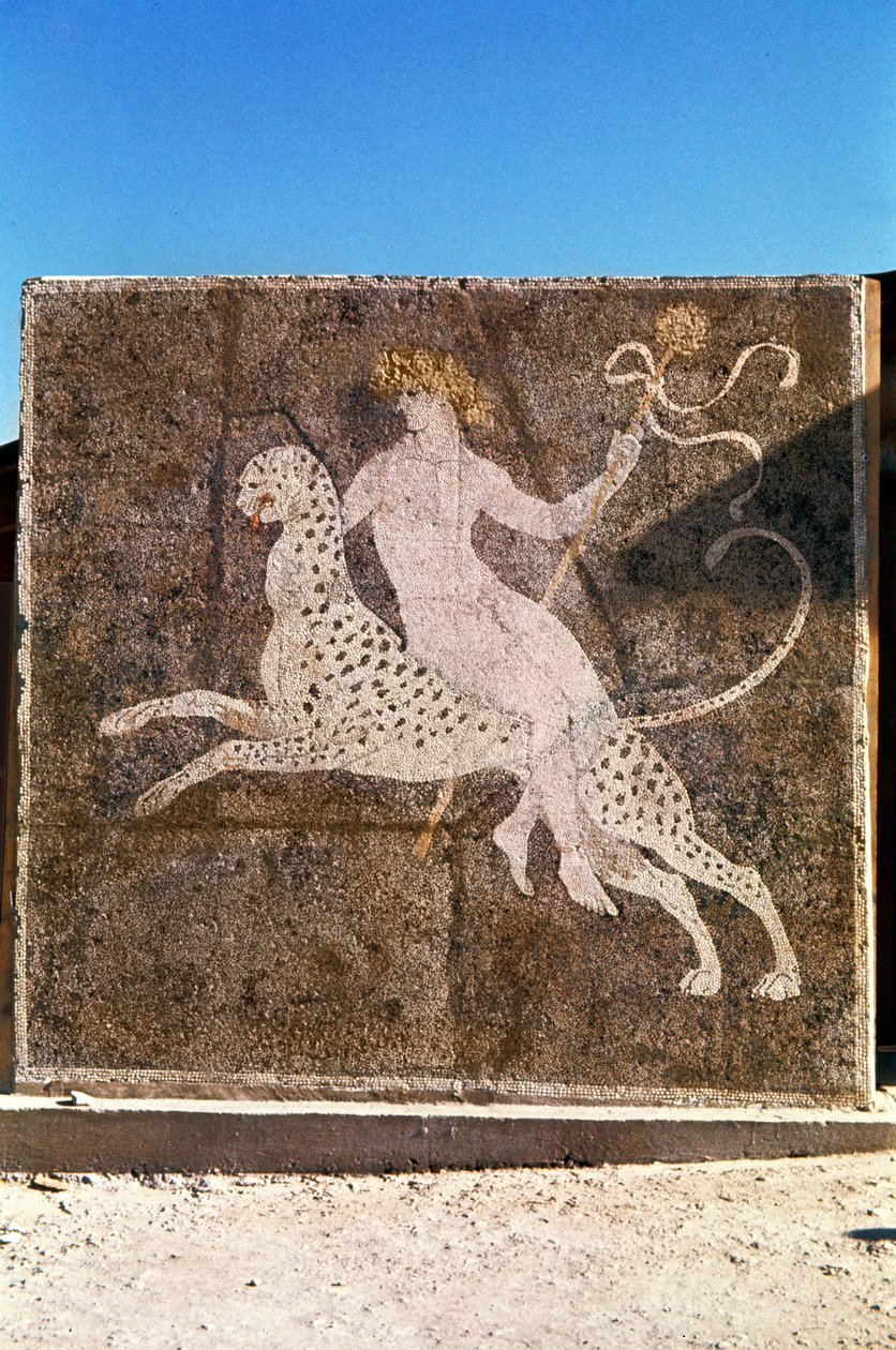 Bacchus Riding a Leopard, 1.-2. århundrede e.Kr. (mosaik) af Roman