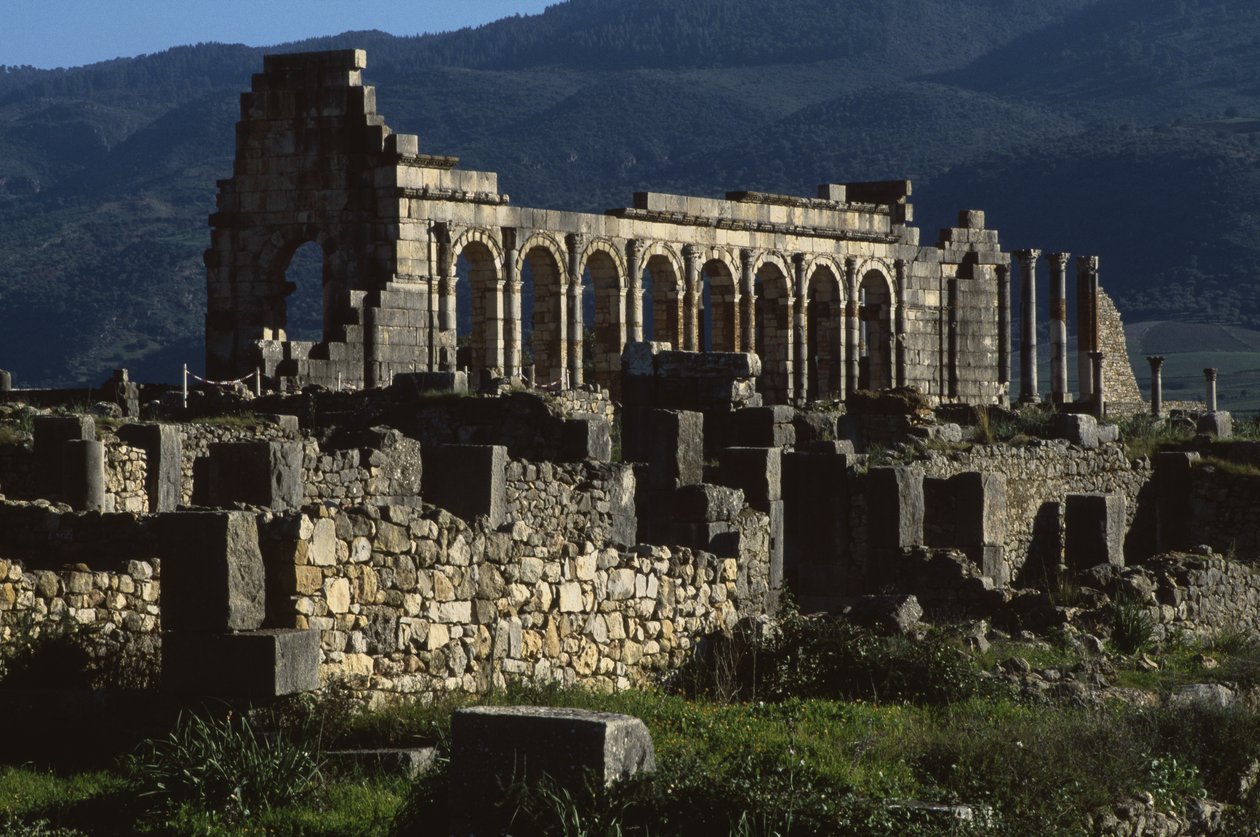Basilika, 217 e.Kr af Roman