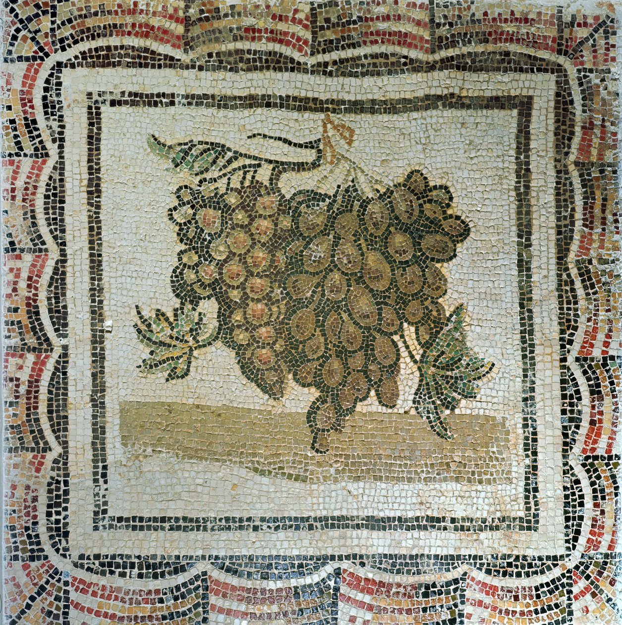 Flok hvide druer, romersk mosaik (mosaik) af Roman