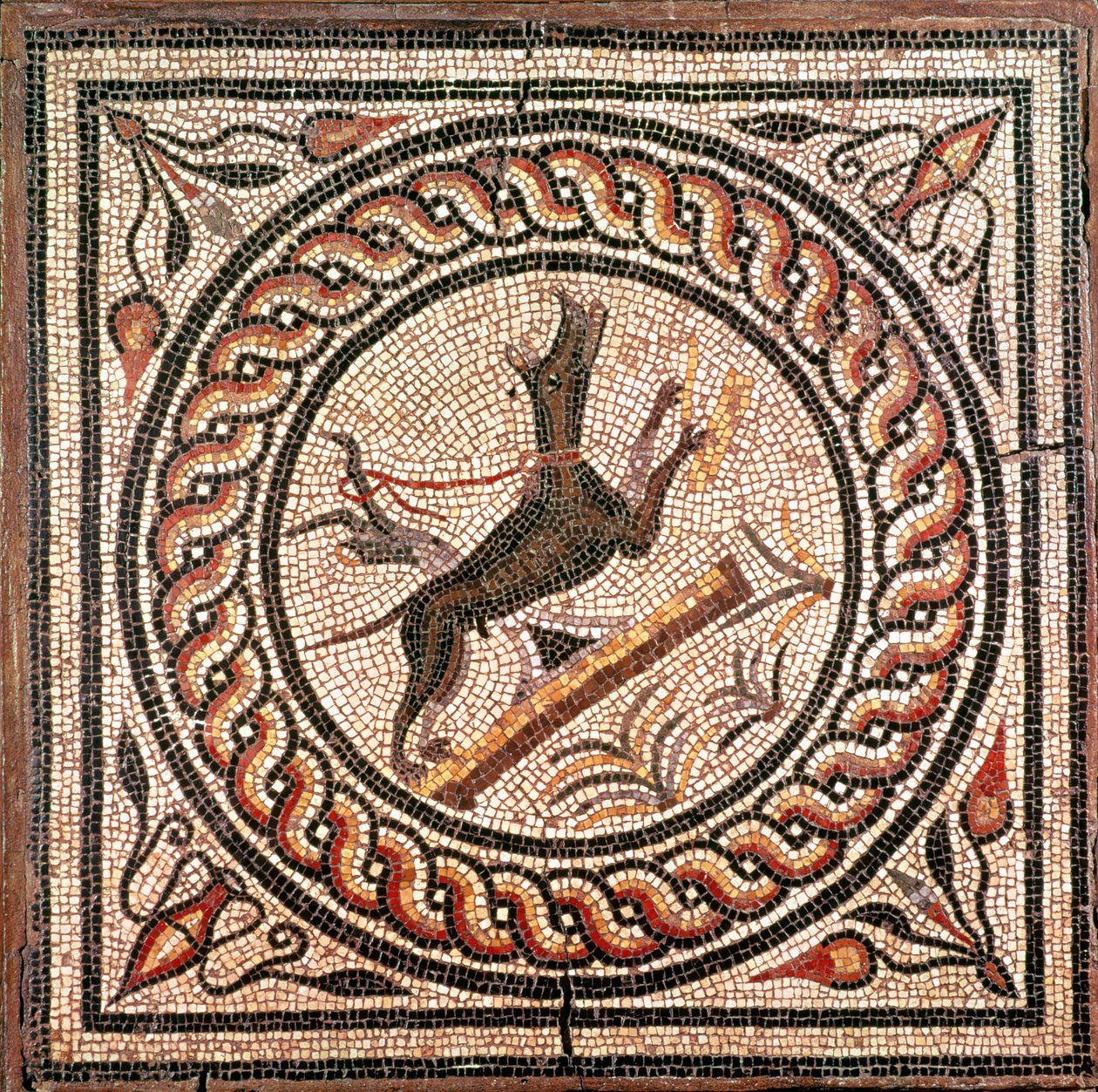 Cave Canem (Pas på hunden) 2.-3. århundrede (mosaik) af Roman