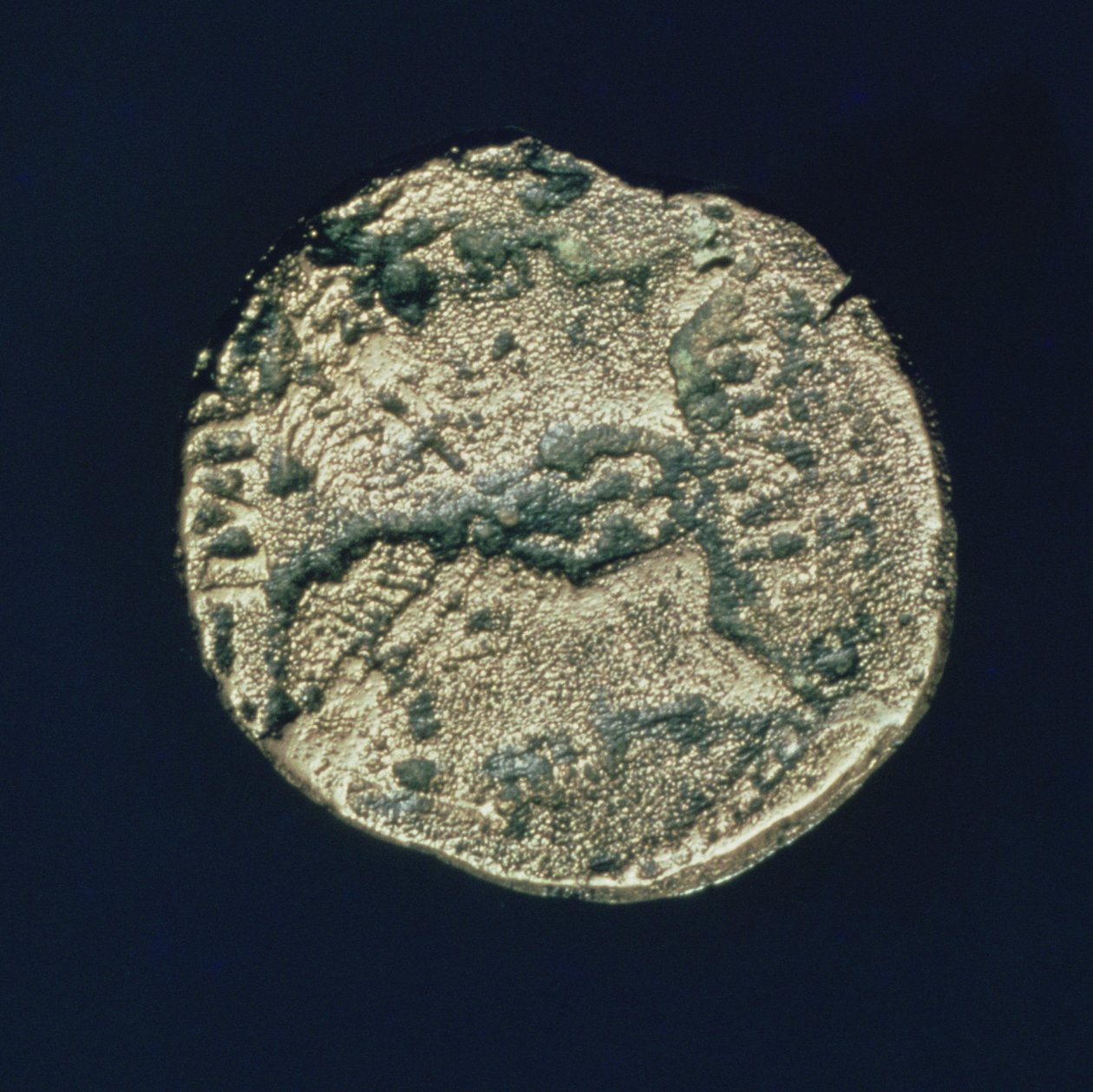 Mønt med hoveder af Julius Cæsar (101-44 f.Kr.) og Augustus (63-14 f.Kr.) (bronze) af Roman