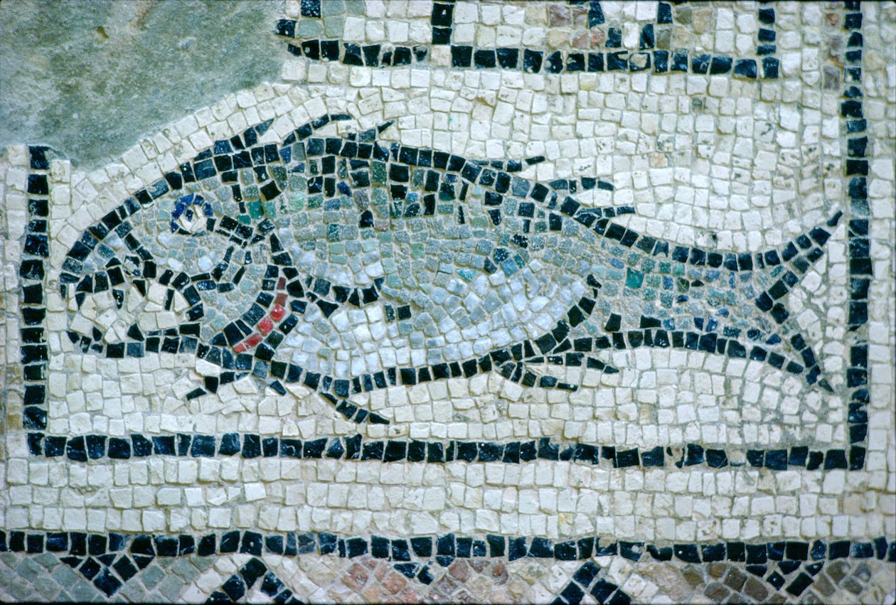 Fisk på et romersk gulv (mosaik) af Roman
