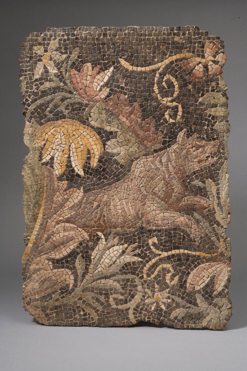 Fragment af en mosaik, der forestiller en ulv (mosaik) af Roman