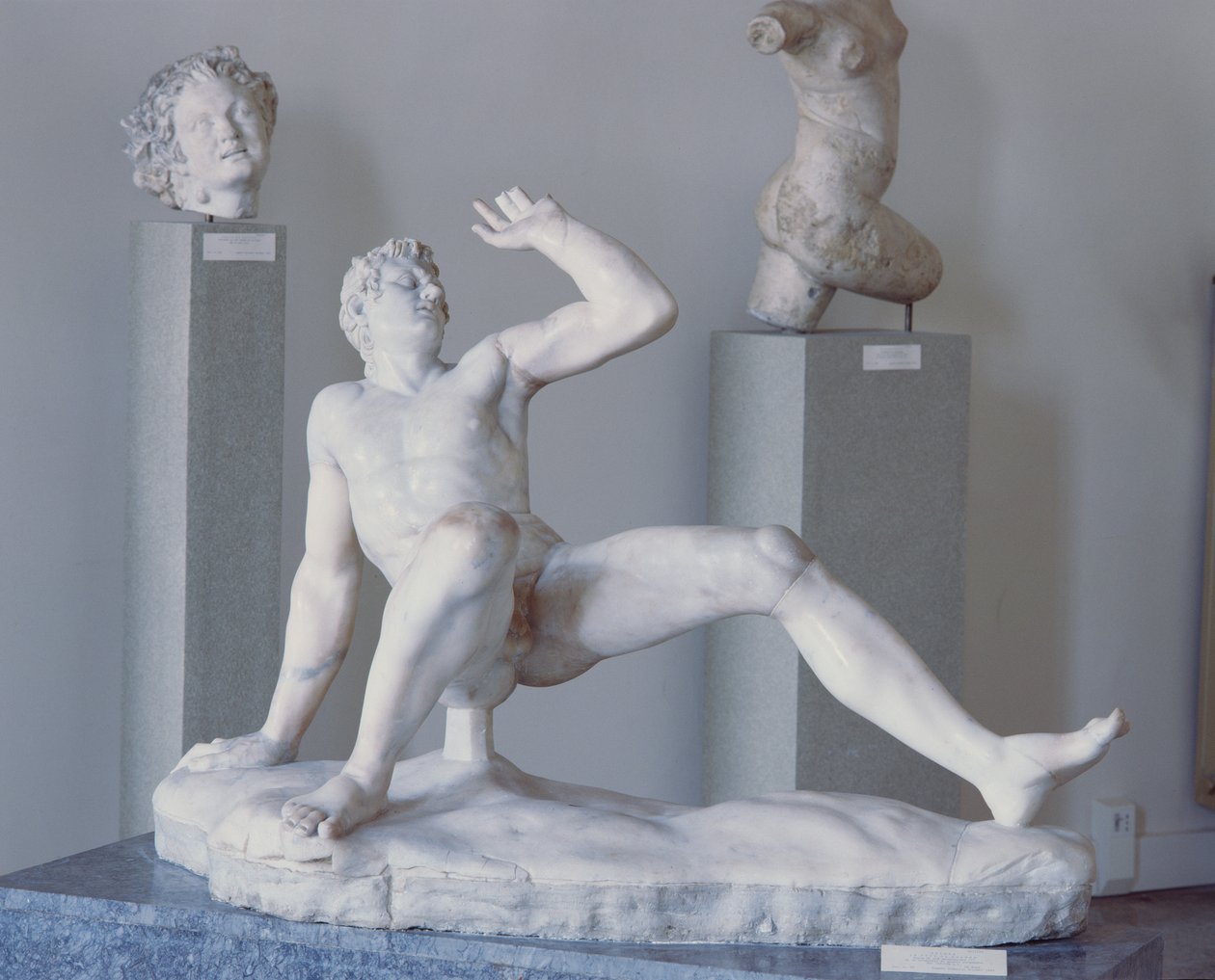 Gallo Cadente (marmor) af Roman