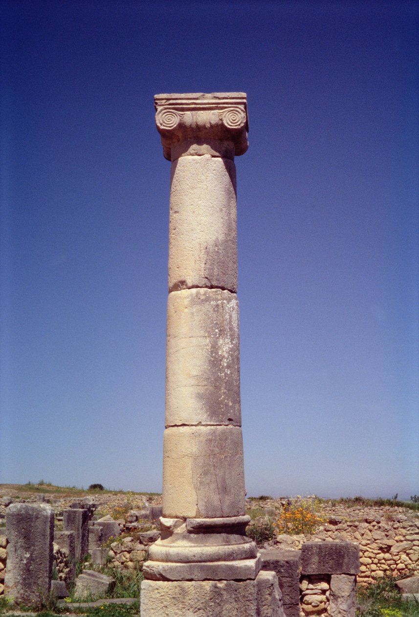 Ionisk søjle på Decumanus Maximus af Roman