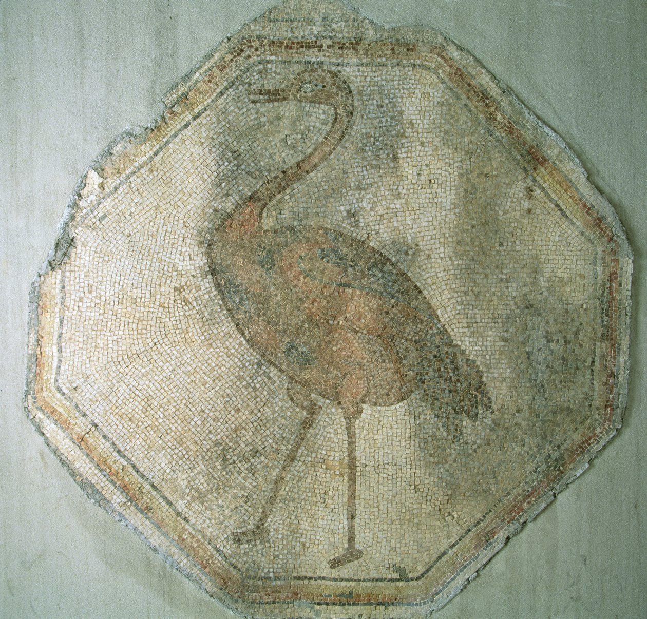 Mosaik med en struds, fra Salkim, Tyrkiet af Roman
