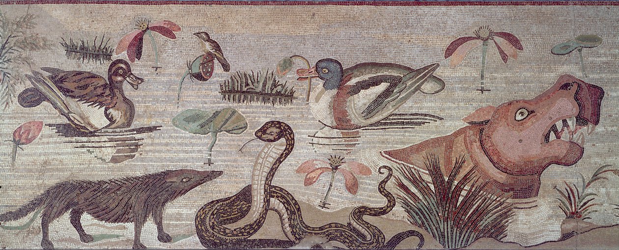Nilscene, detalje af ænder, en slange og en flodhest, fra Casa del Fauno House of the Faun Pompeii mosaik af Roman
