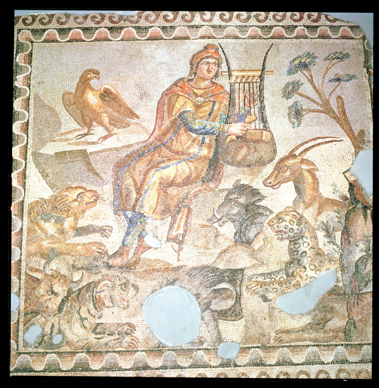Orfeus spiller for dyrene, romersk mosaik (mosaik) af Roman