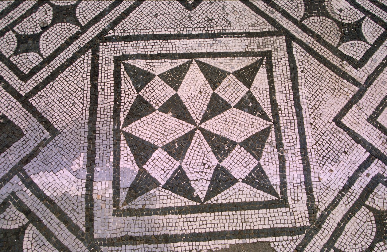Mønstret gulvbelægning (mosaik) af Roman
