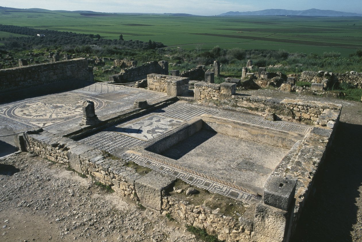 Belægning af et patricierhus af Roman