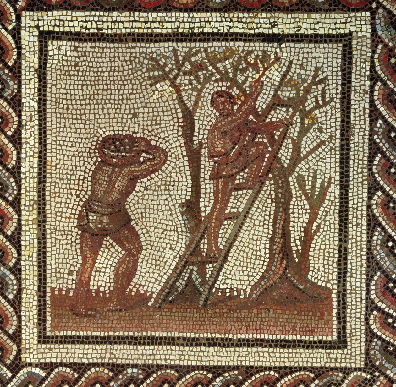 Pluk frugt, romersk mosaik fra Saint-Romain-en-Gal, Frankrig, AD 200-225 af Roman