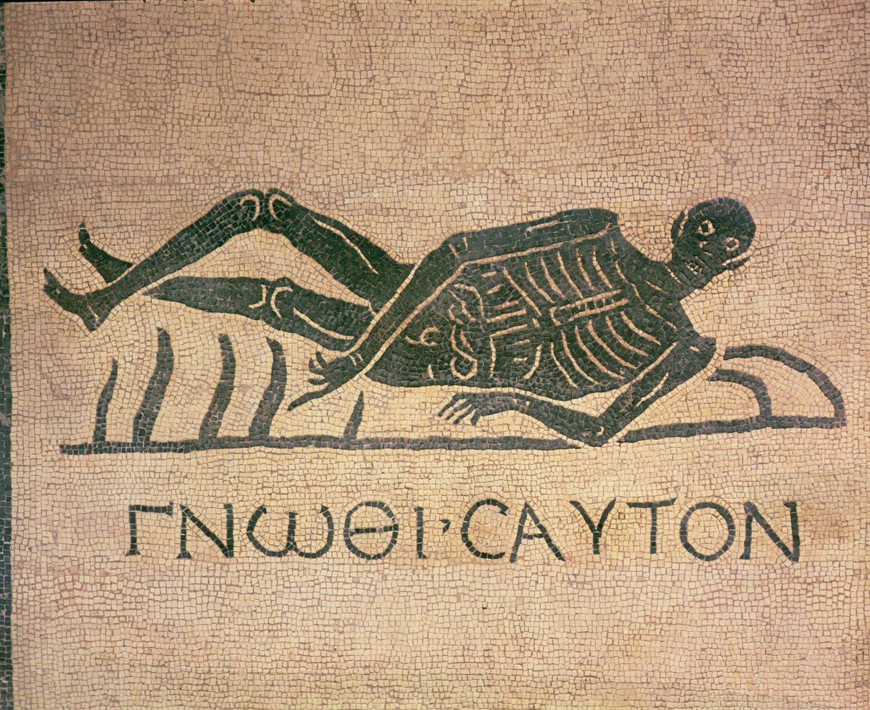 Liggende skelet med påskriften "Kend dig selv" (mosaik) af Roman