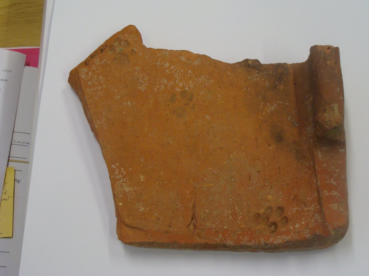 Romersk flise med kattefodaftryk (lertøj) af Roman