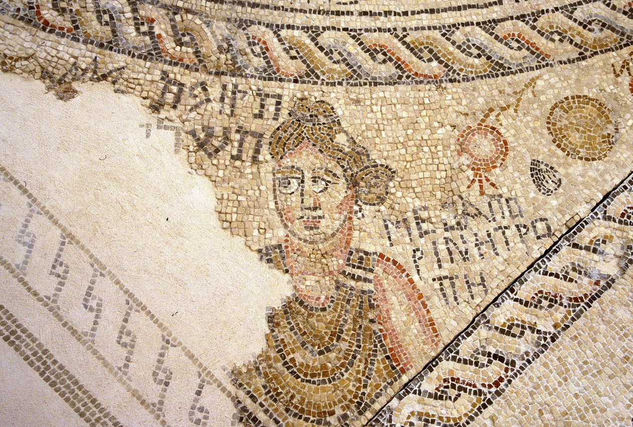 Sepphoris mosaik, Tzippori (mosaik) af Roman