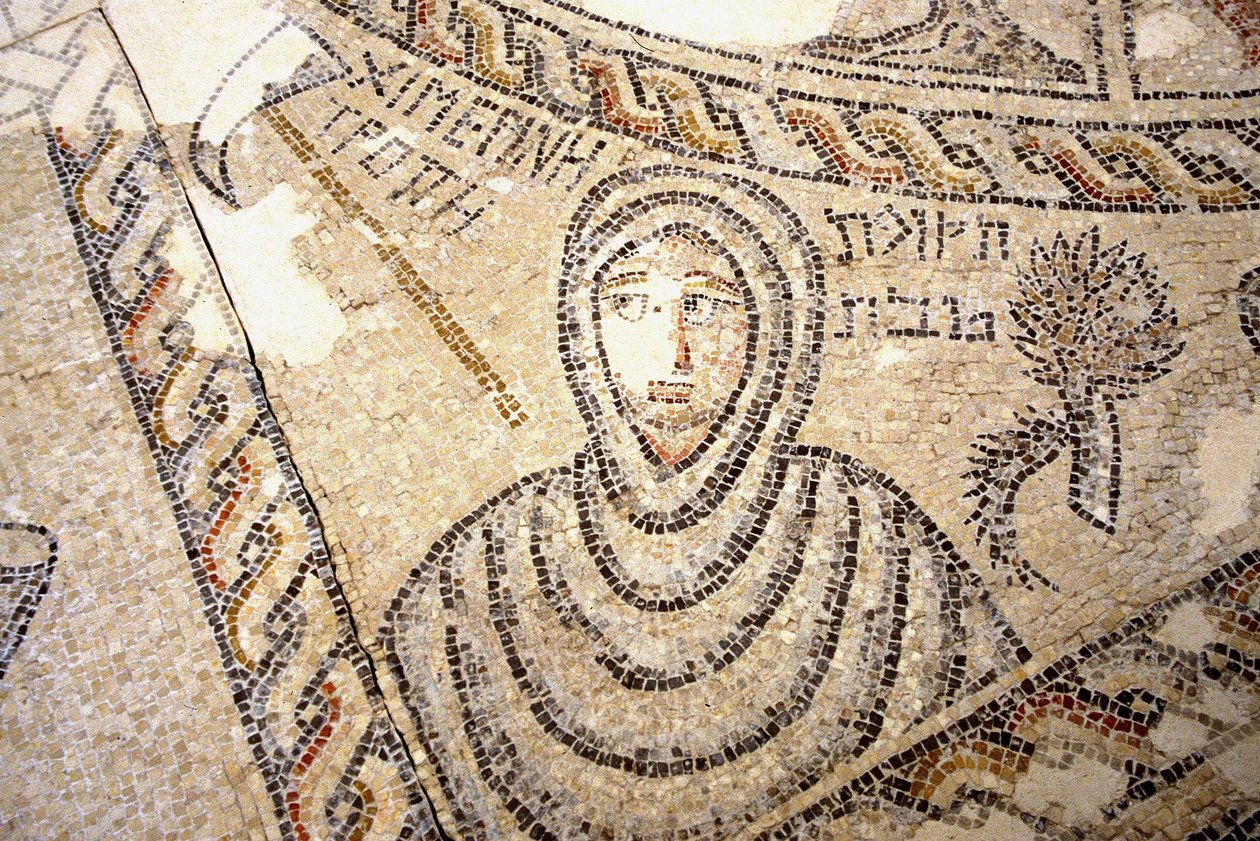 Sepphoris mosaik, Tzippori (mosaik) af Roman