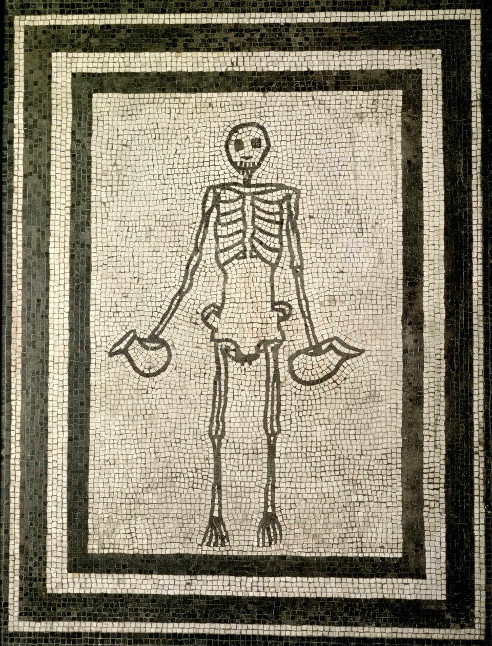 Skelet af en mundskænk (mosaik) af Roman