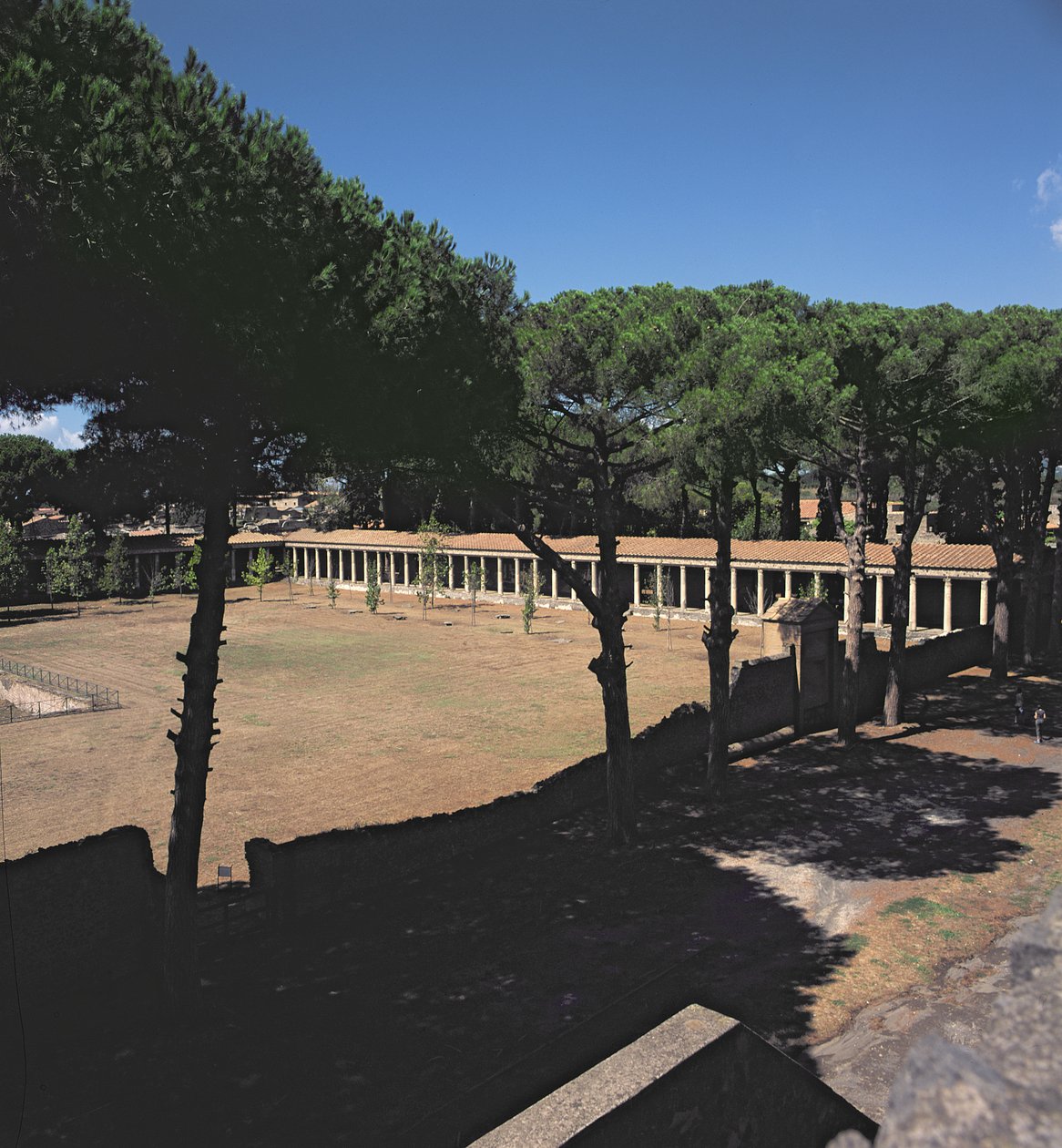 Det Store Palaestra af Roman