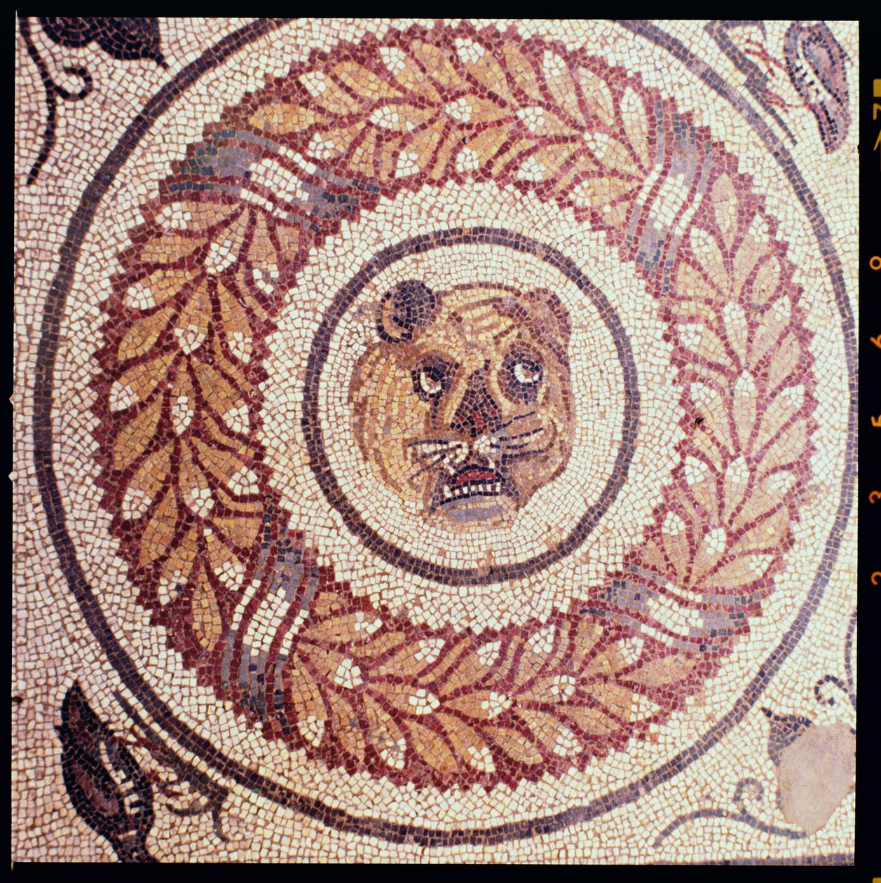 Tigerhoved, romersk mosaik, tidligt 4. århundrede (mosaik) af Roman