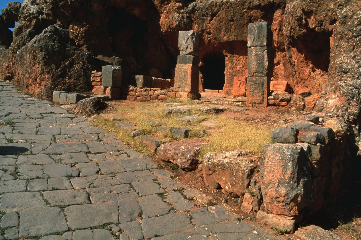 Udsigt over cardo og Mithras-templet af Roman