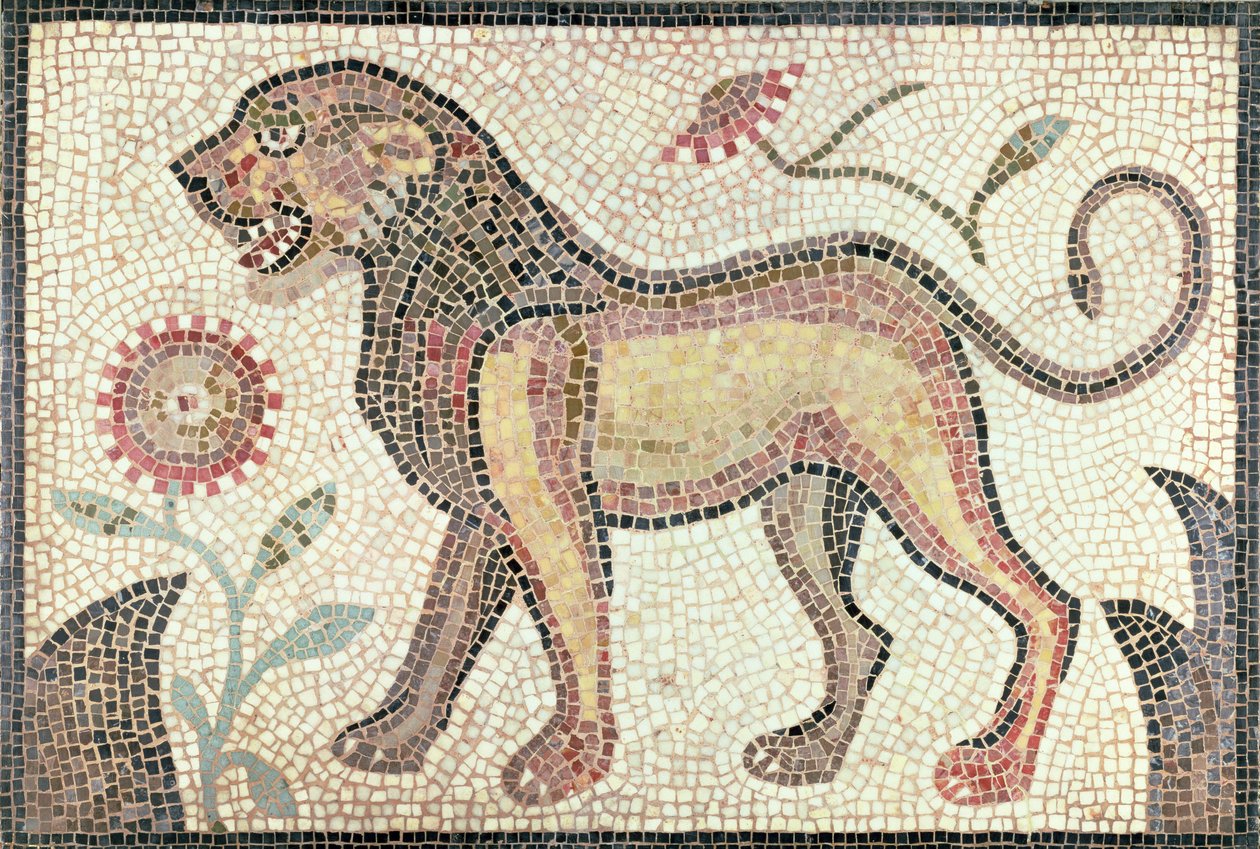 Løve, fra Tunis, sandsynligvis slutningen af det 5. århundrede e.Kr. (mosaik) af Roman Roman