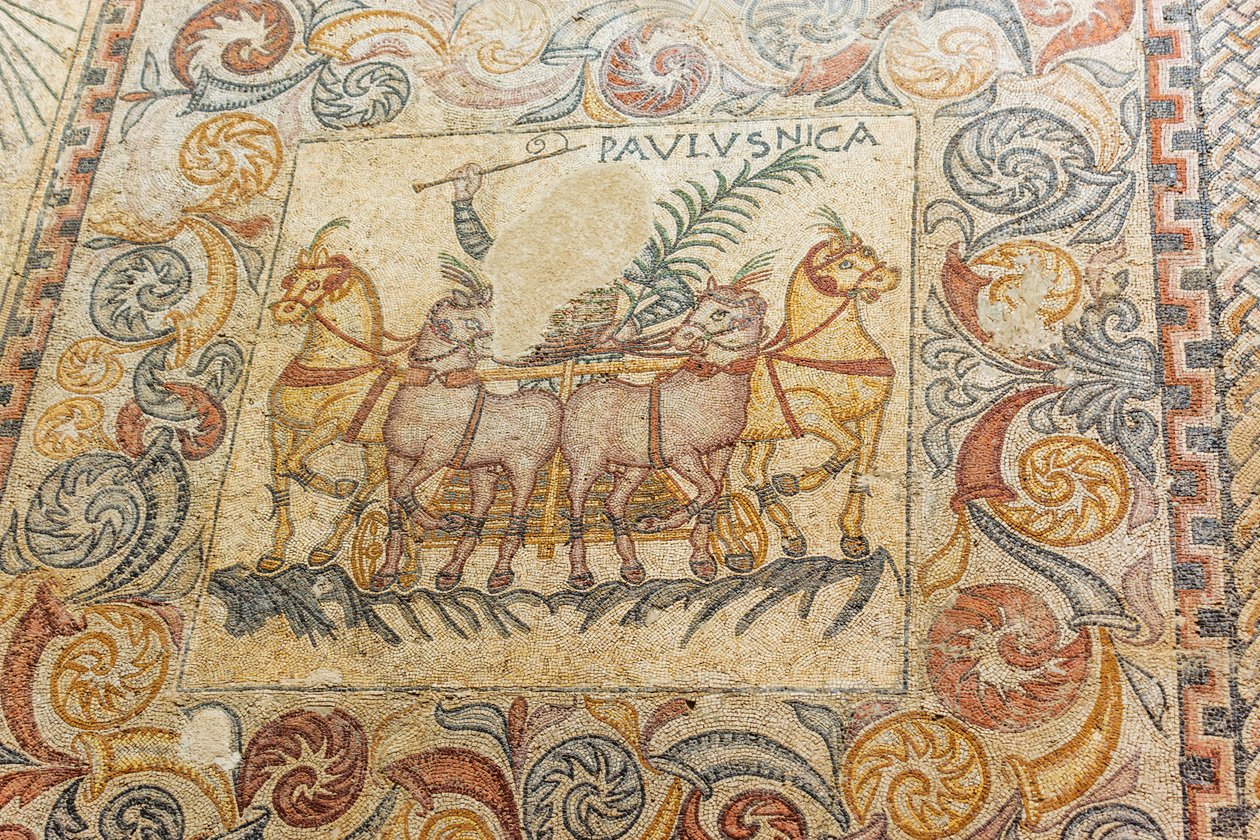 Mosaikker, der viser vognmand, der kører fire heste af Roman Roman