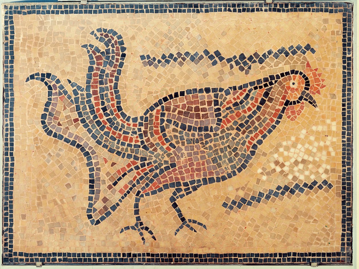 Hane, fra Tunis, sandsynligvis slutningen af det 5. århundrede e.Kr. (mosaik) af Roman Roman