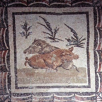 Vildsvin (mosaik) af Roman Roman