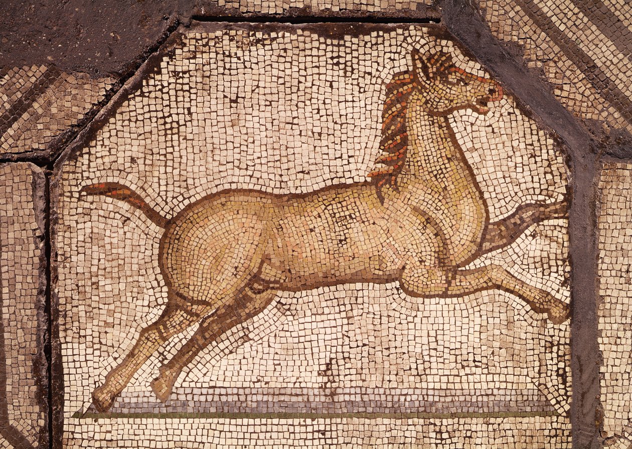 En hest, detalje fra Orpheus Charming the Animals (mosaik) af Roman