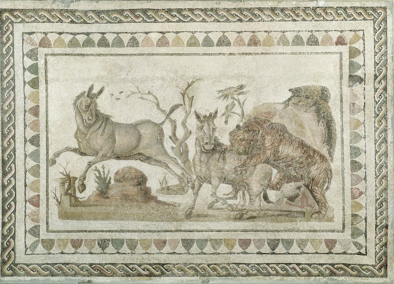 En tiger, der angriber to onagere, fra huset for den dionysiske procession, El-Jem (Thysdrus) (mosaik) af Roman