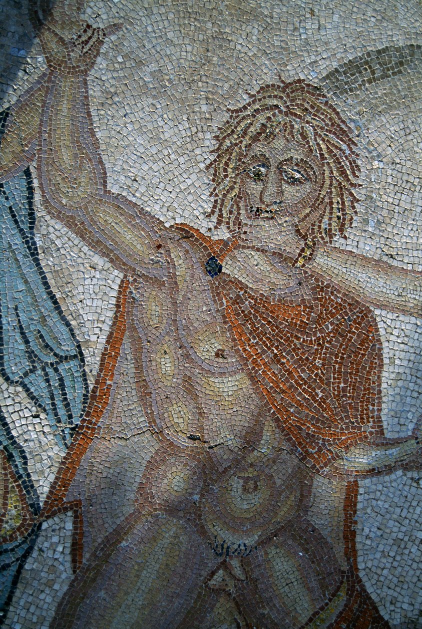 Bortførelse af hylas af nymfer, mosaik i House of Venus i den romerske by Volubilis (UNESCOs verdensarvsliste af Roman