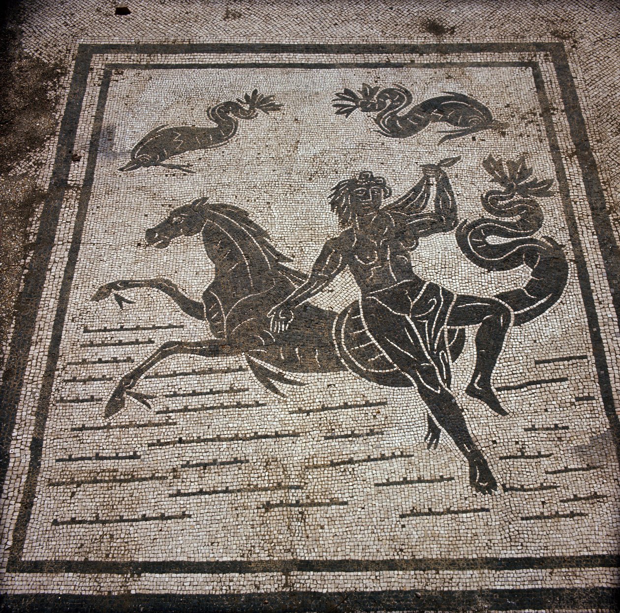 Gamle Ostia (Ostia). Place des Corporations. Mosaik af Sabratha Seafarers Corporation. En nymfe og en marinehest. af Roman