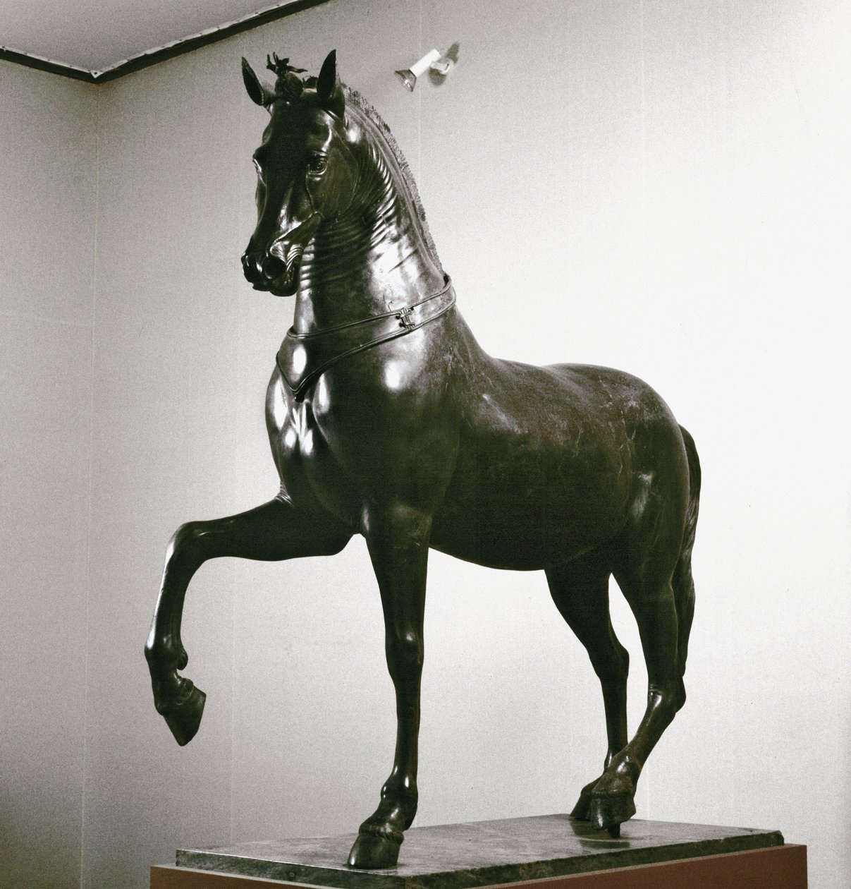 Romersk kunst: hestestatue (hesteskulptur) 1. århundredes skulptur (bronze) af Roman
