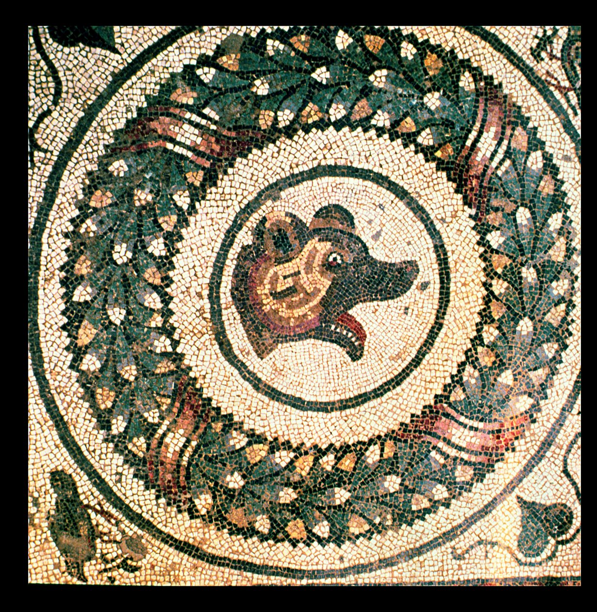 Bjørnehoved, romersk mosaik, tidligt 4. århundrede (mosaik) af Roman