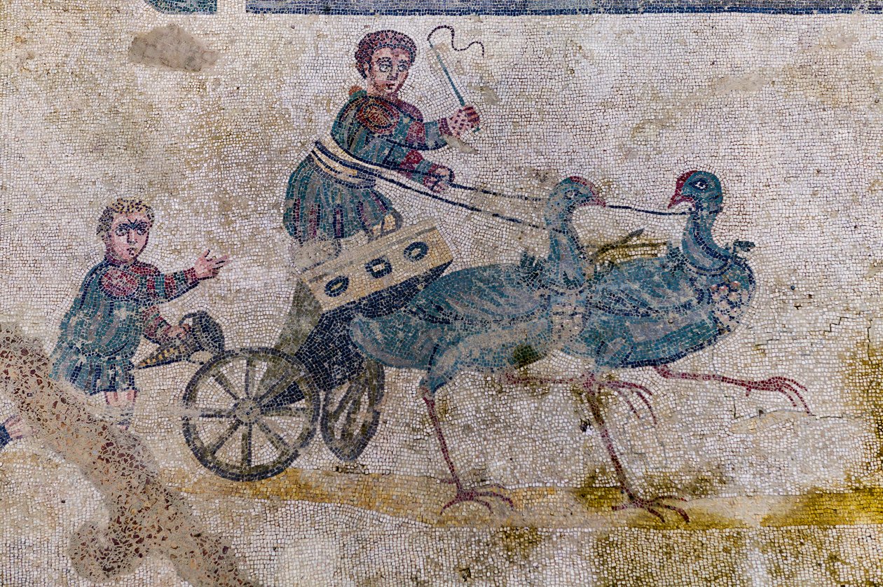 Vognløb med søkort trukket af fugle (mosaik) af Roman