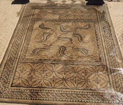 Delfiner, romersk mosaik fra Orpheus-huset, 3. århundrede e.Kr. (mosaik) af Roman