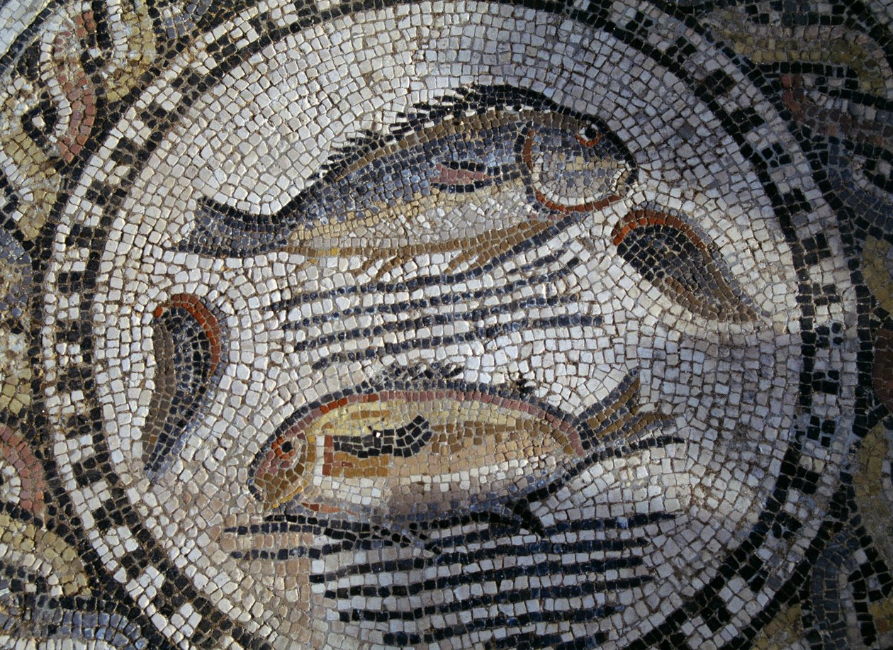 Fisk, mosaik i den romerske by Volubilis (UNESCOs verdensarvsliste af Roman