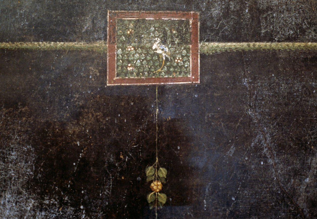 Fresker fra Villa Dei Misteri af Roman