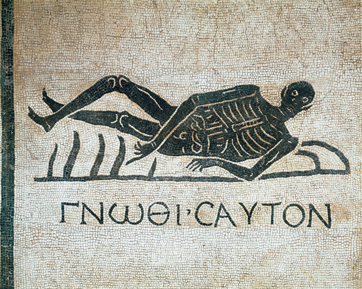 Gnothi seauton (Kend dig selv memento mori i mosaik fra udgravninger i klosteret St. Gregory i Rom, med det græske motto 3. århundrede f.Kr.) Museo Nazionale Romano (o delle Terme) Rom af Roman