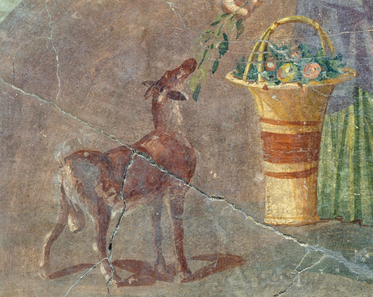 Ged og kurv med frugt, fresko fra Pompeji, Campania, Italien, romersk civilisation af Roman