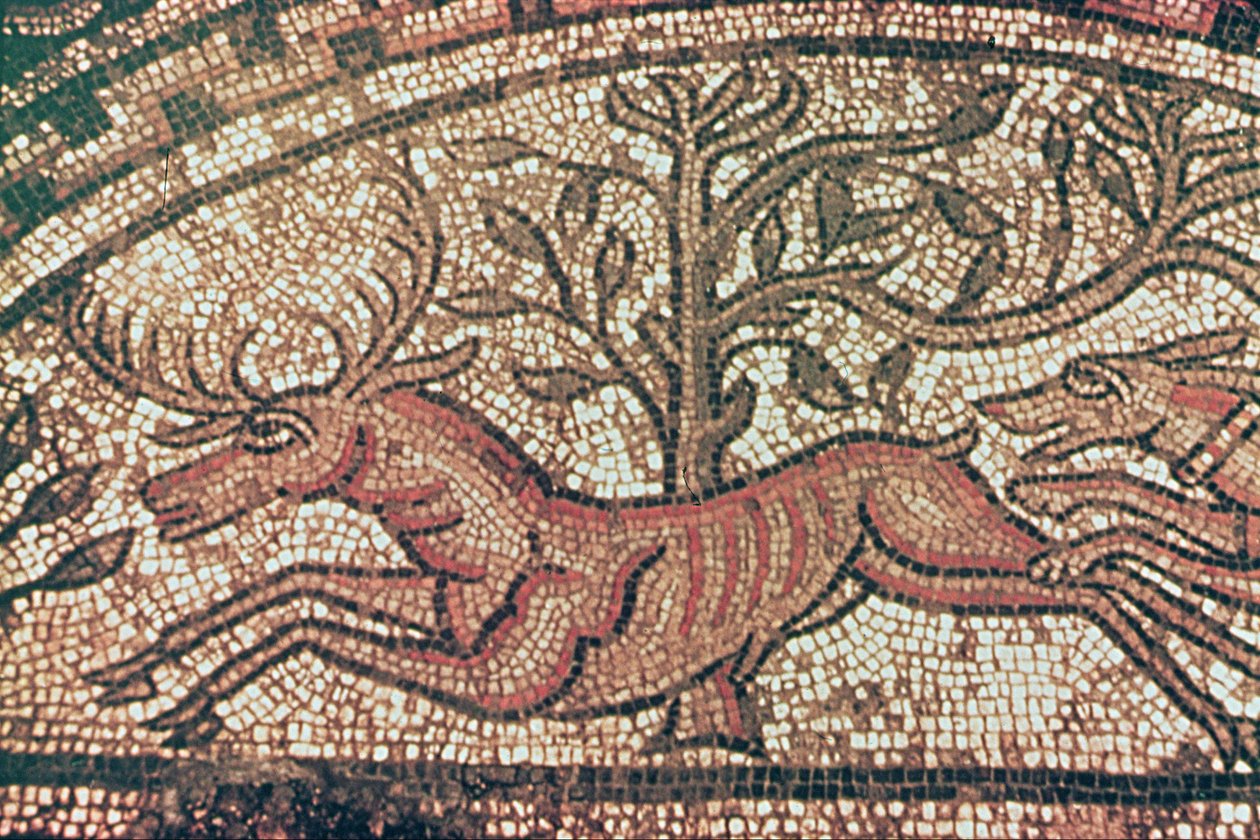 Hinton St. Mary fortovet (detalje) ca. 350 e.Kr. (mosaik) af Roman