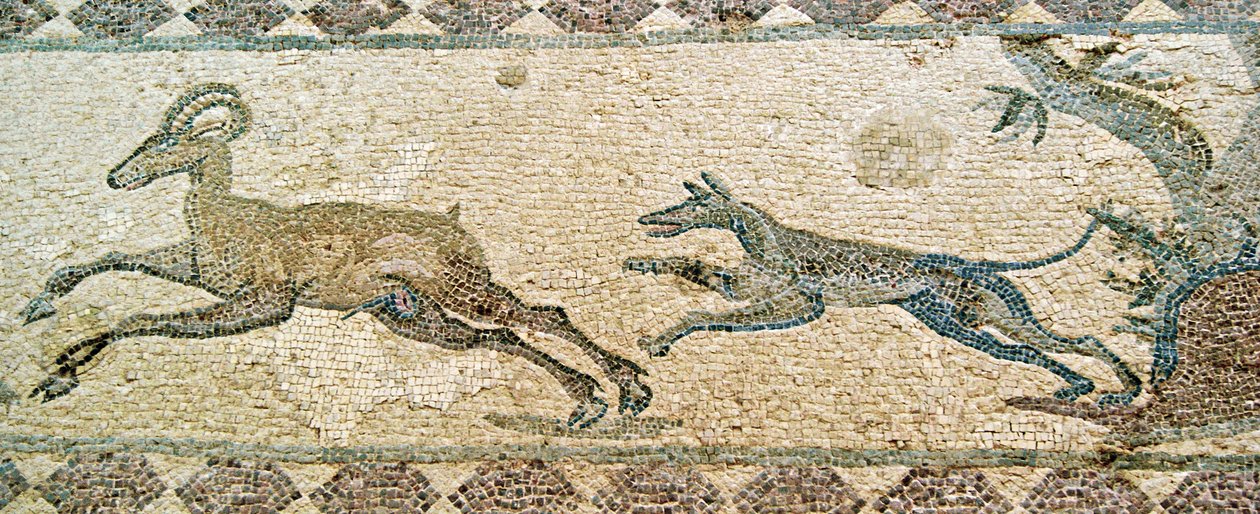 Jagtscene, House of Dionysos, Paphos, Cypern (mosaik) af Roman