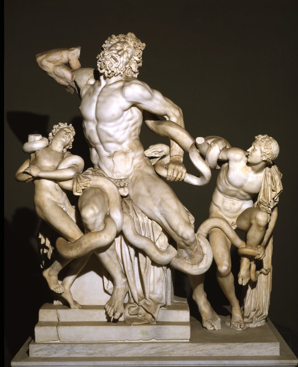 Laocoön og hans sønner (marmor) af Roman