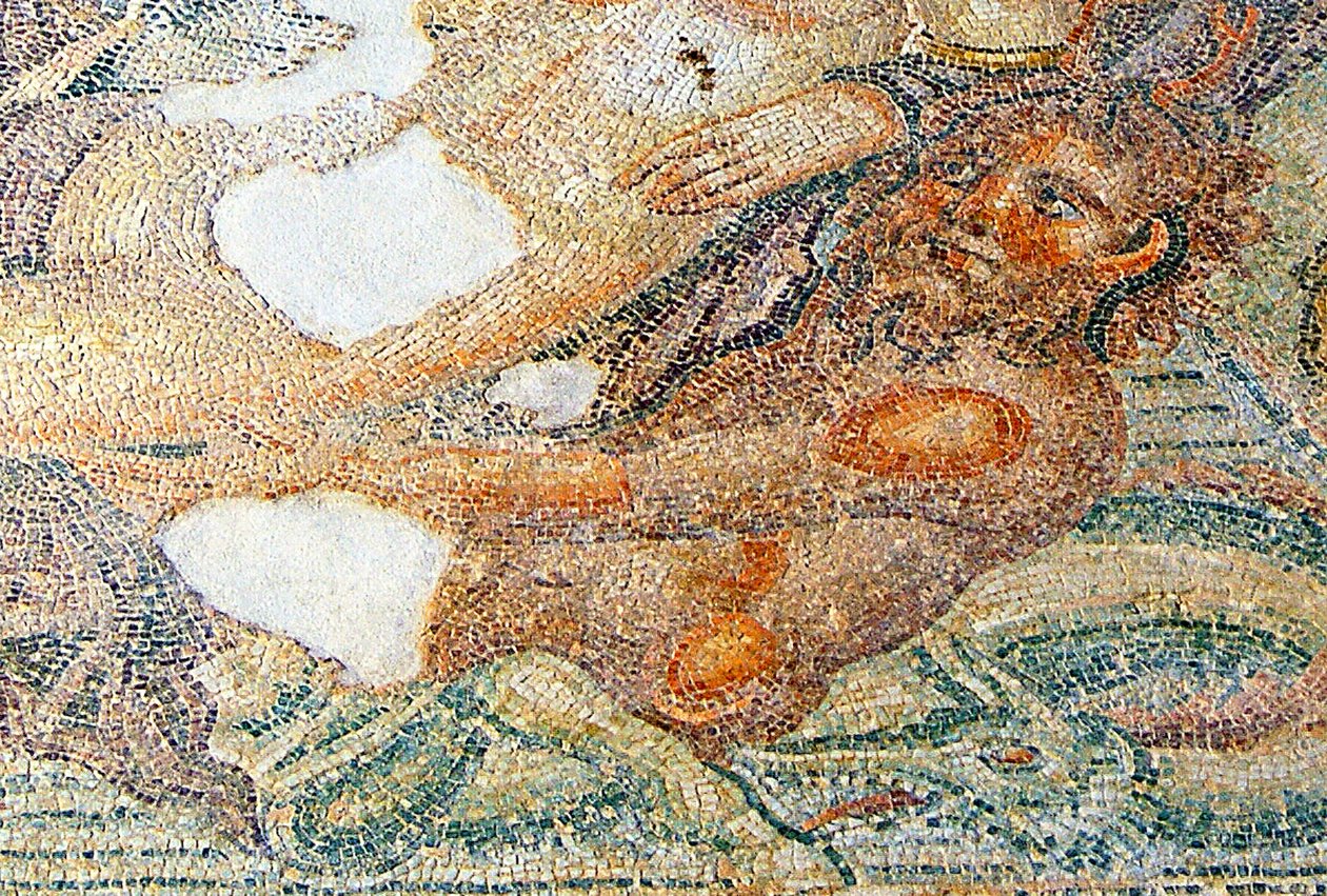 Nereides og Bythos, detalje af Bythos, House of Aion, Paphos, Cypern mosaik af Roman