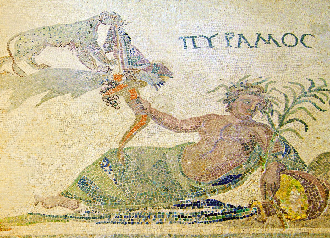 Pyramus og Thisbe, detalje af Pyramus og leoparden, House of Dionysos, Paphos, Cypern mosaik af Roman