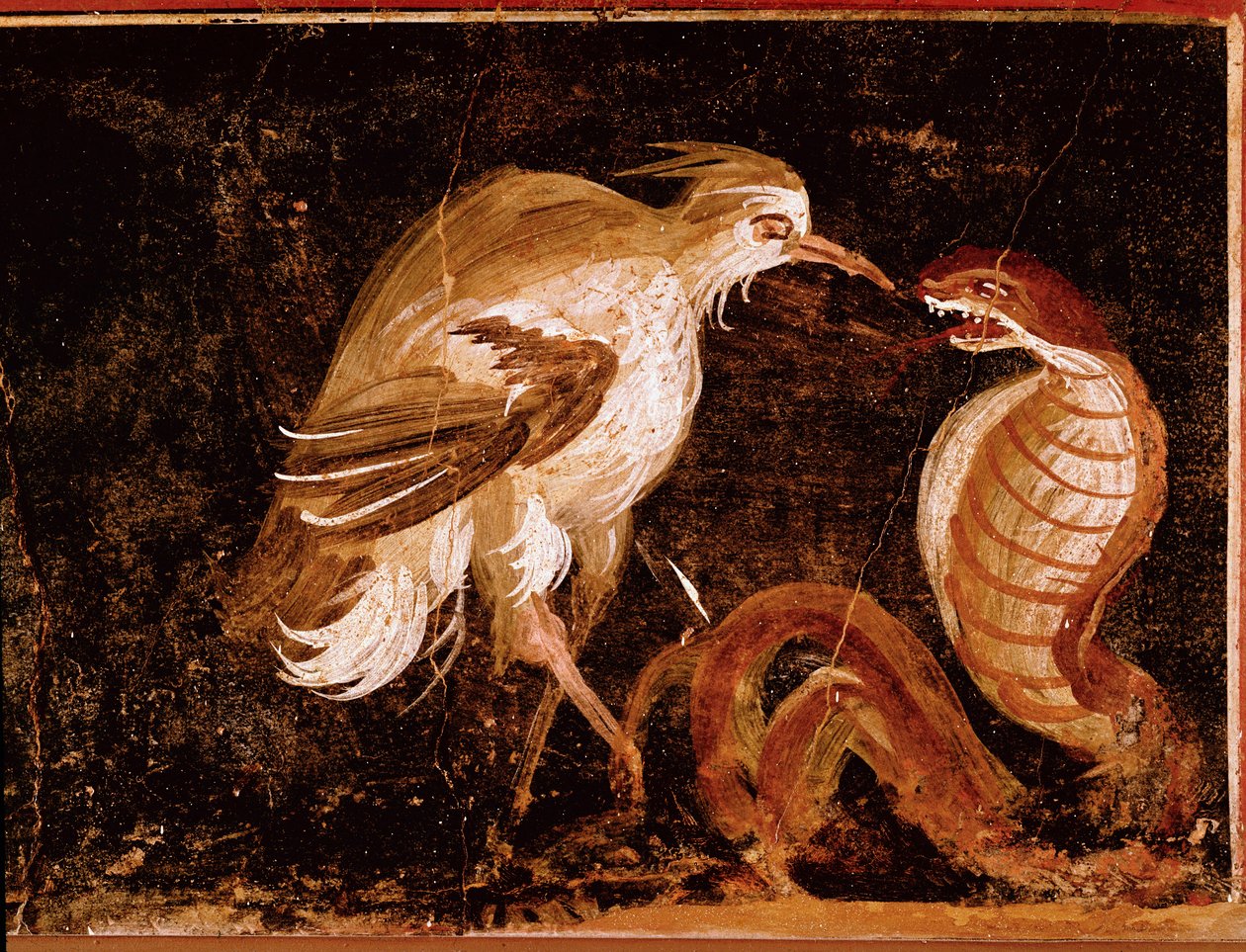 Romersk kunst: "" Kamp mellem en hejre og en kobra"" Romersk fresko fra Epigrammernes hus, Pompeji, Italien (Kamp mellem en hejre og en kobra, fresko fra casa degli Epigrammi, Pompeji) 60-80 e.Kr. af Roman