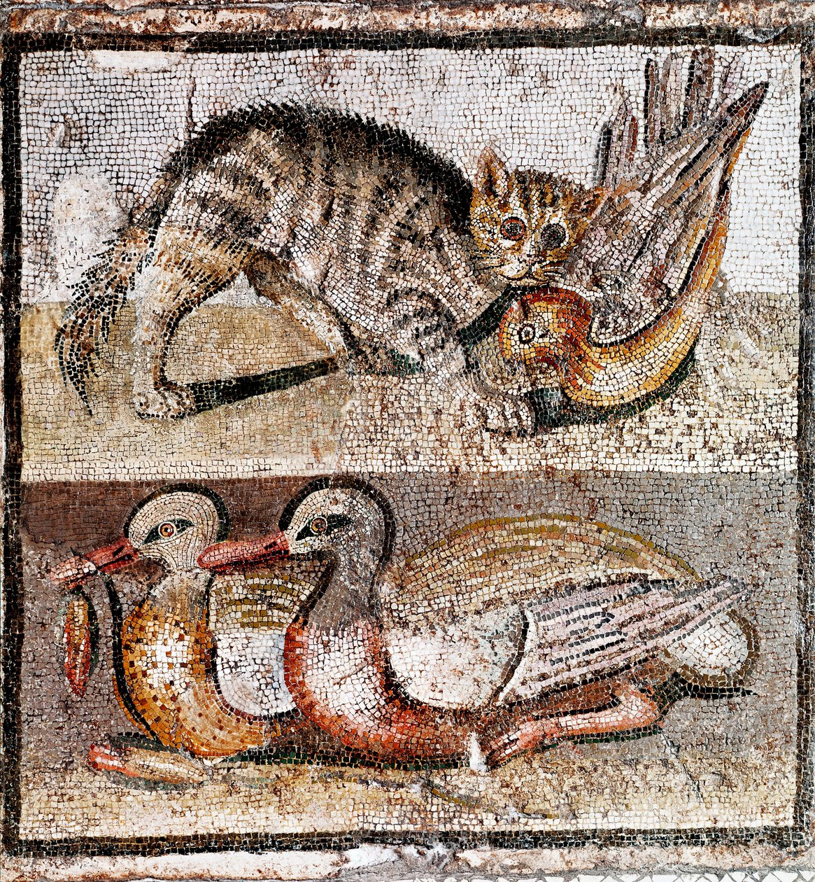 Romersk kunst: mosaik, der forestiller en vild kat, der fanger en agerhøne og to ænder. 200-150 f.Kr. Rom, Museo Nazionale Romano - Romersk kunst: mosaik, der forestiller en vild kat, der fanger en agerhøne og to ænder. 200-150 f.Kr. Museo Nazionale Romano af Roman